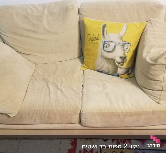 ספה עם כריות, אחת עם ציור של לאמה